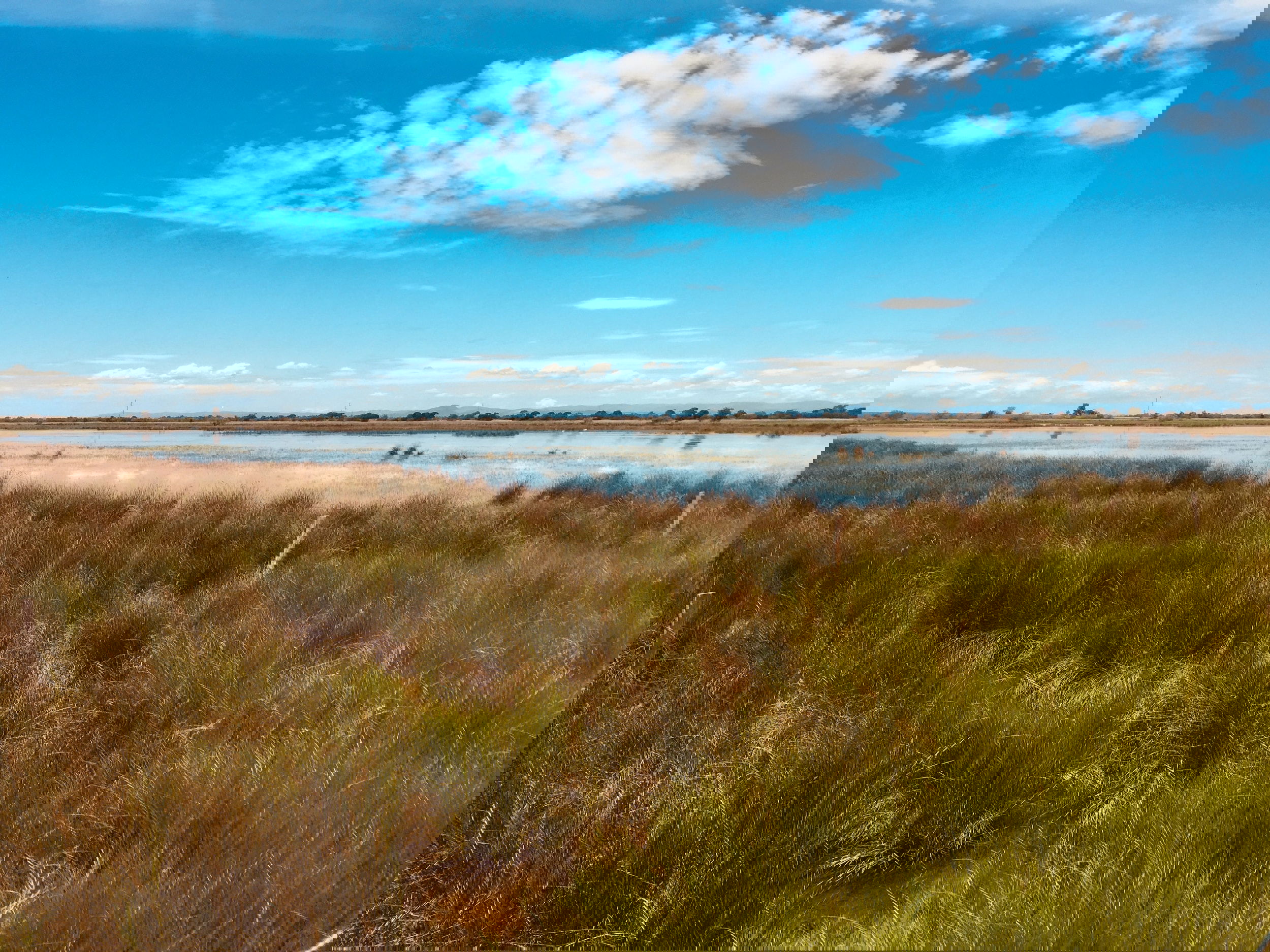 The marriage of ancient history, Camargue tradition and modern culture.