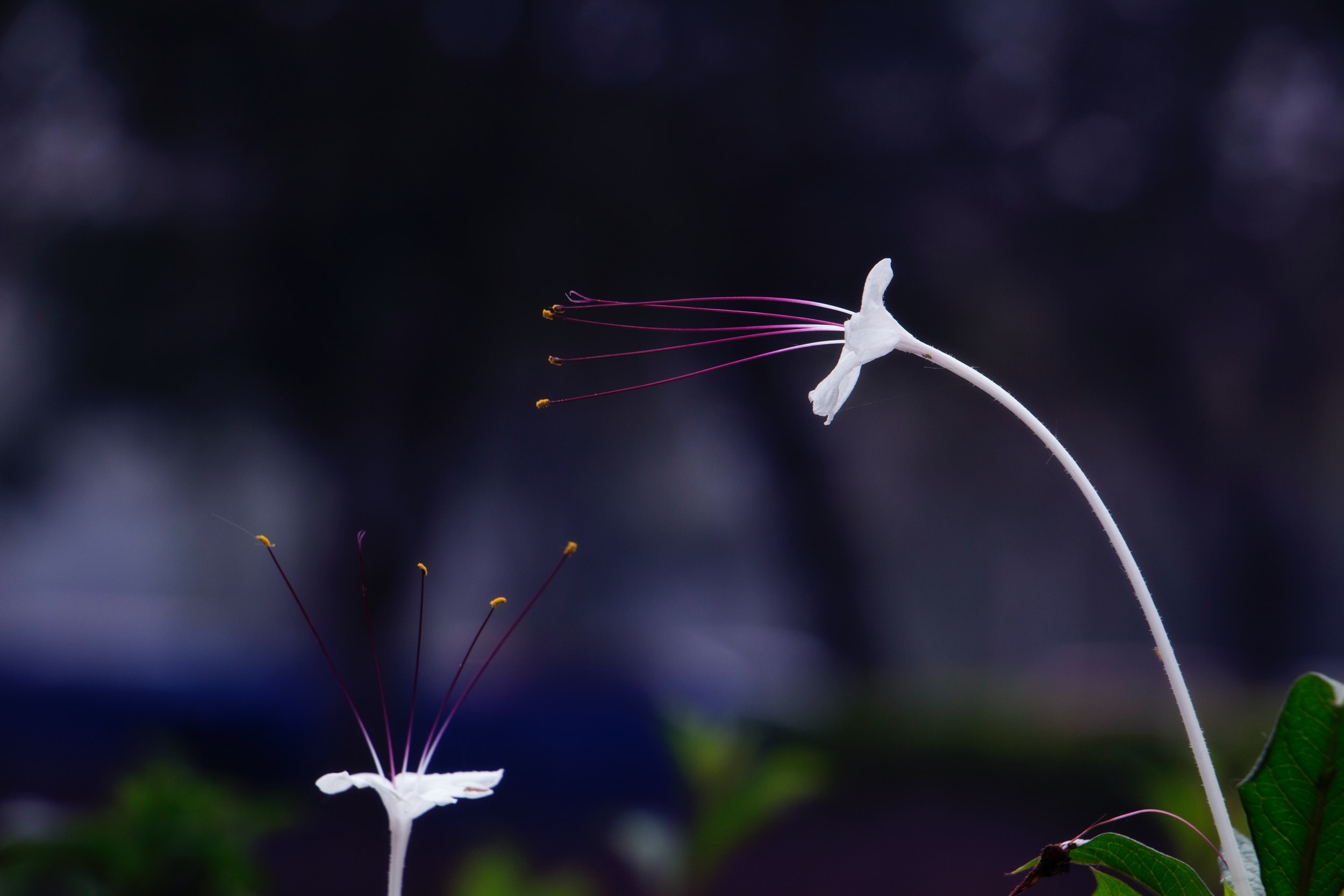 RESPECT FOR PEOPLE, MATERIAL, ENVIRONMENT AND SAFETY