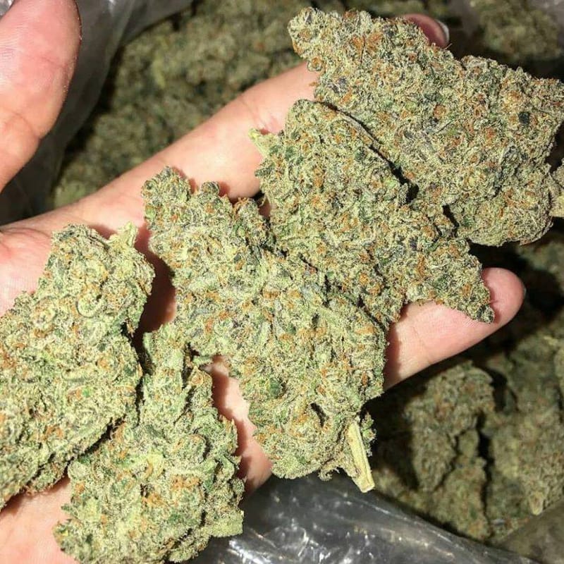 banana bubble gum strain banana bubble gum strain