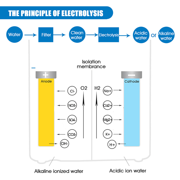 How Water Electrolysis and Ionizer Works WALKALINE