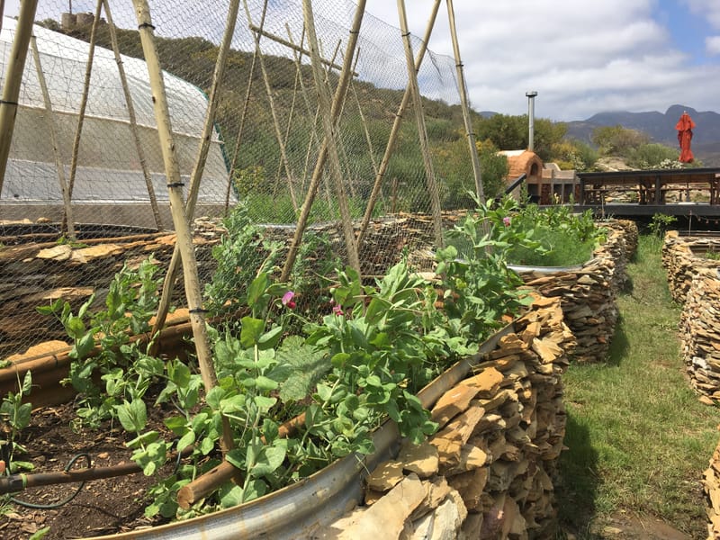 GOURMET GARDEN - ALLENDALE FARM