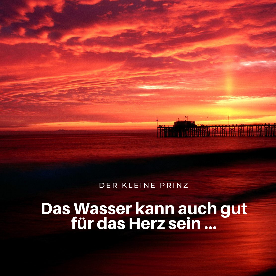 Download Sprueche der kleine prinz For Free