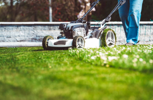 lawn care and maintenance services