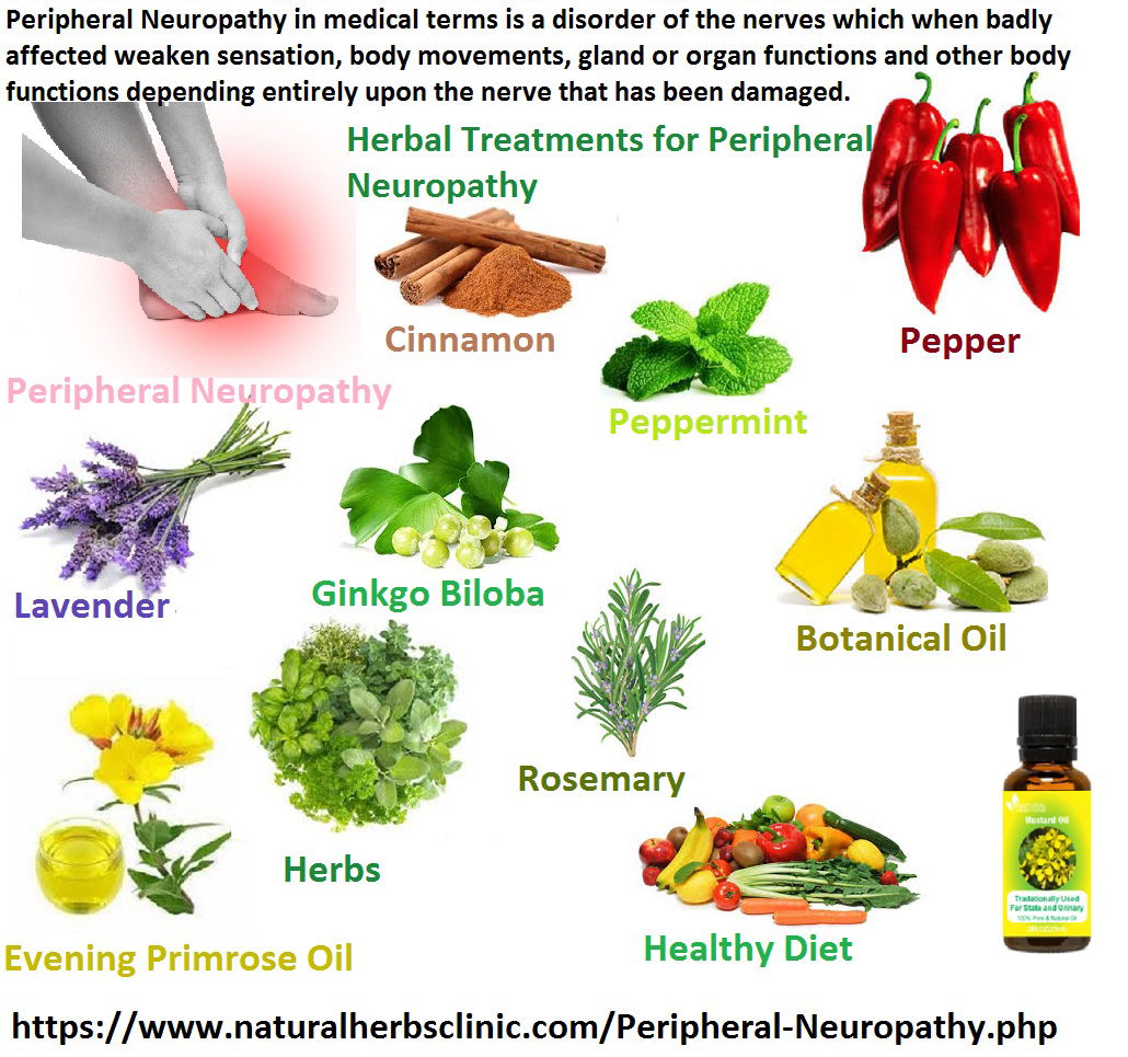 12 Herbal Treatments For Peripheral Neuropathy Health And Wellness