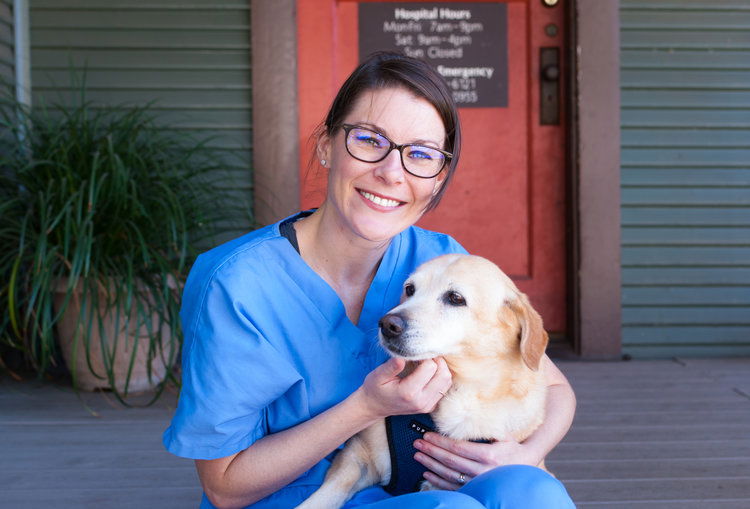 DR. ALLY G. HONEYCUTT Lake Austin Blvd Animal Hospital