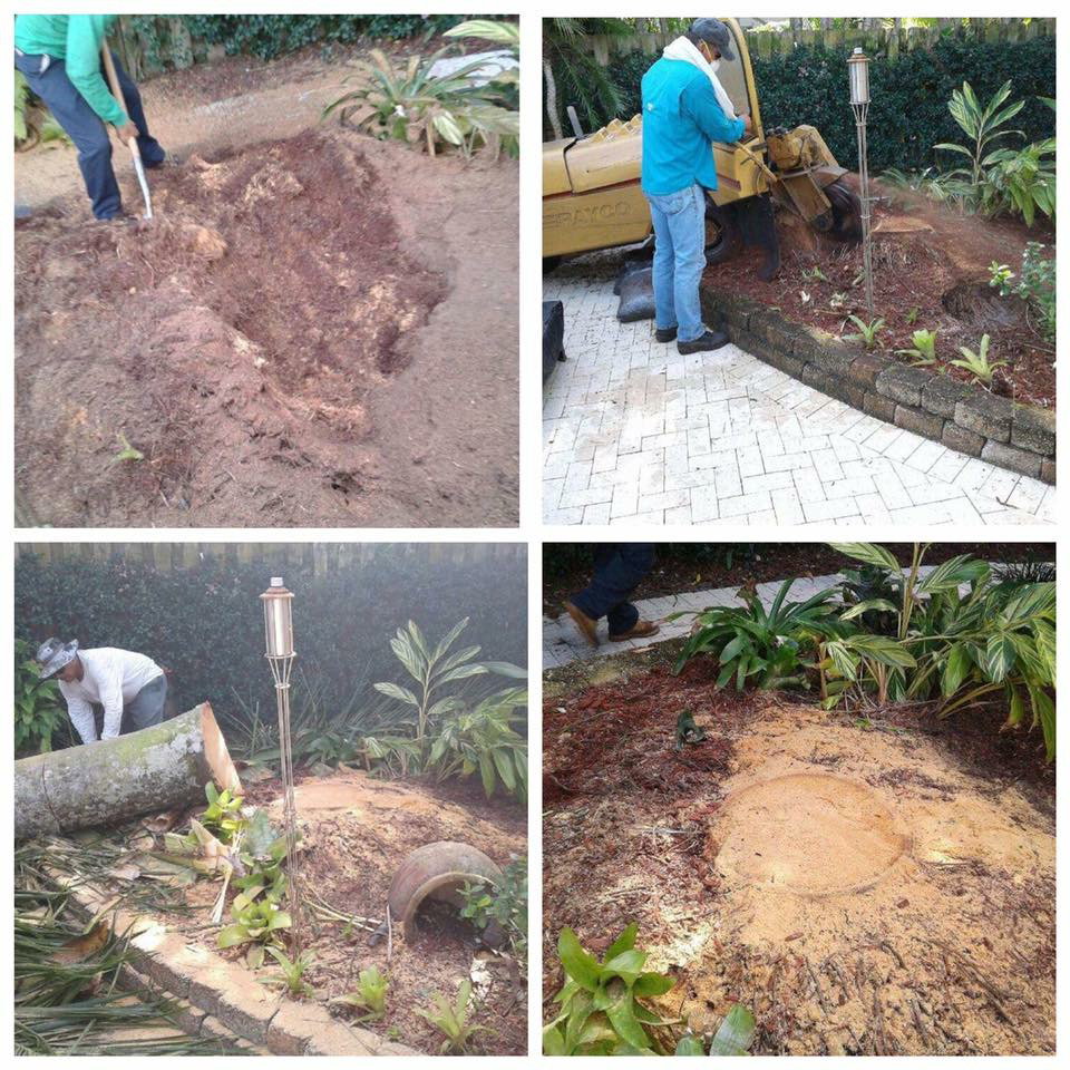 Landscaping & Tree Service Curtis Landscaping & Tree Service