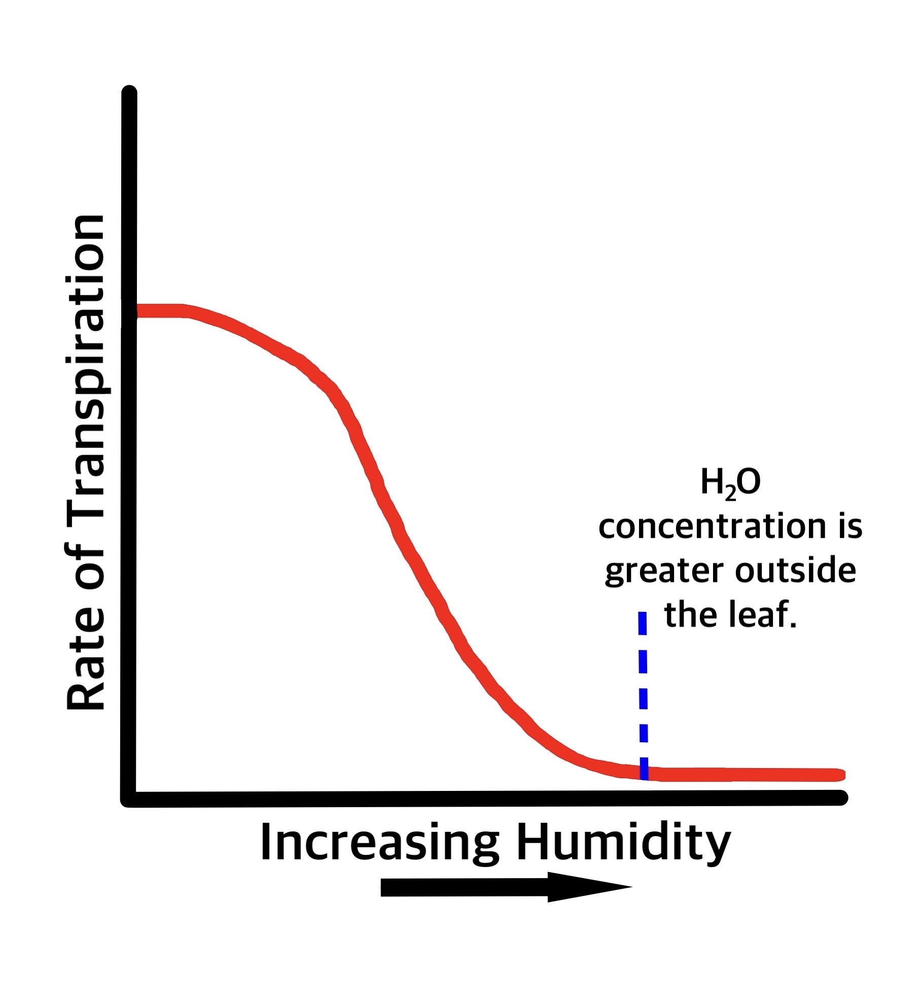Increasing Humidity For Plants increasing-humidity-for-plants