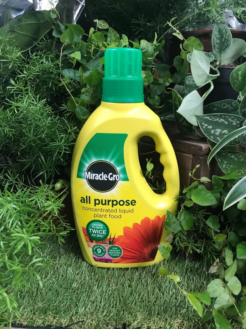 What Fertilisers Are Best For Houseplants?