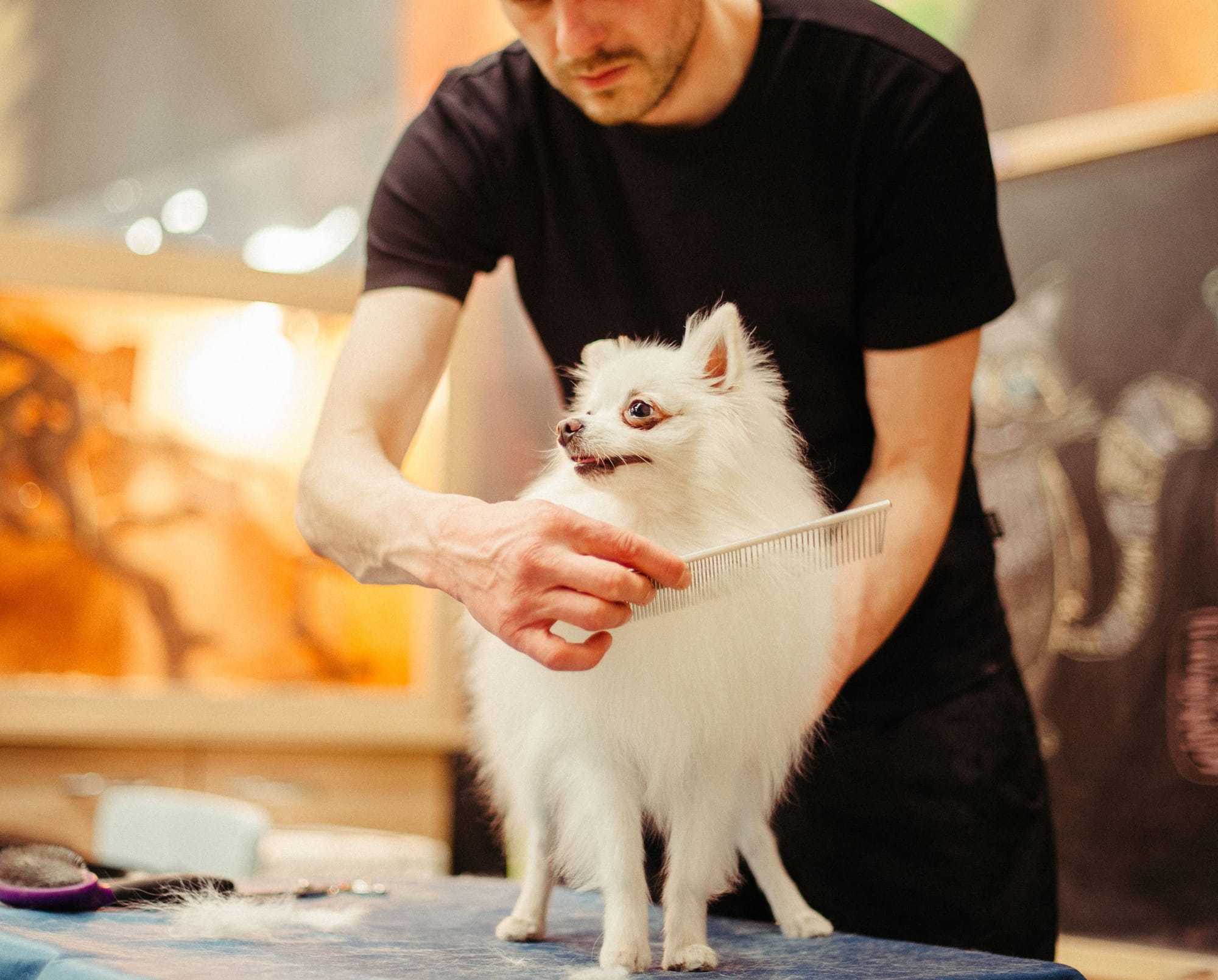 visiting dog groomers
