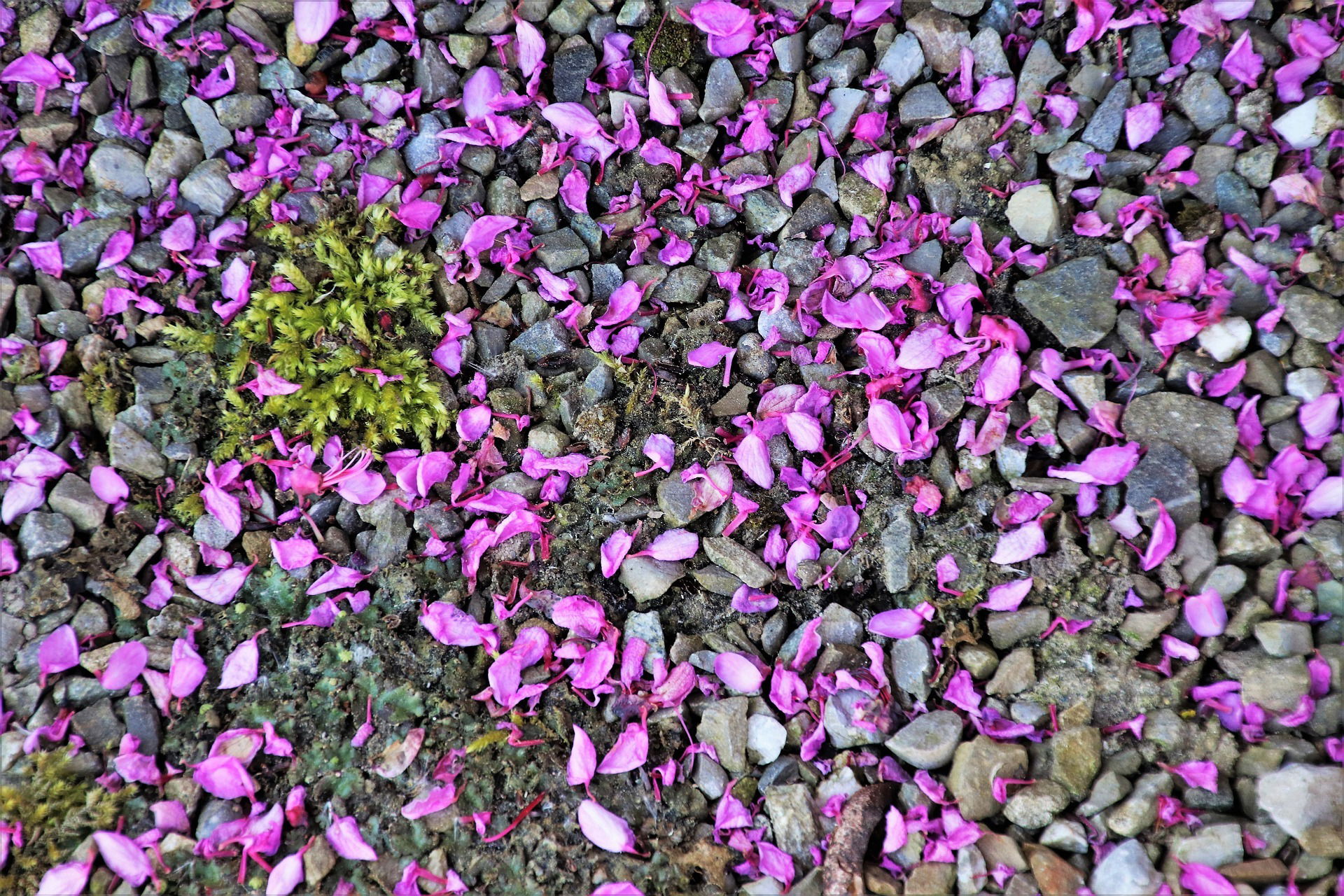 Size & Type of Gravel for a French Drain Hills View Landscape Products