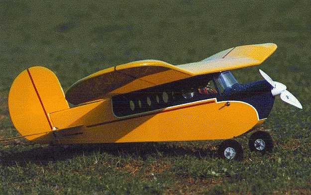 lazy bee rc plane
