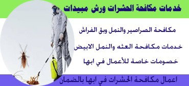 شركة مكافحة حشرات بابها