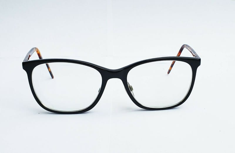zinnia eyeglasses