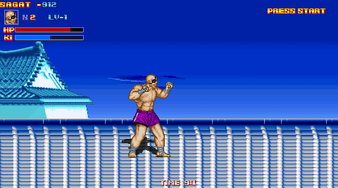 Sagat of a victorious campaign