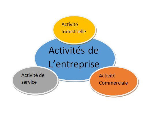 Nos activités