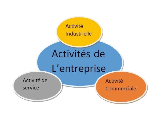 Nos activités