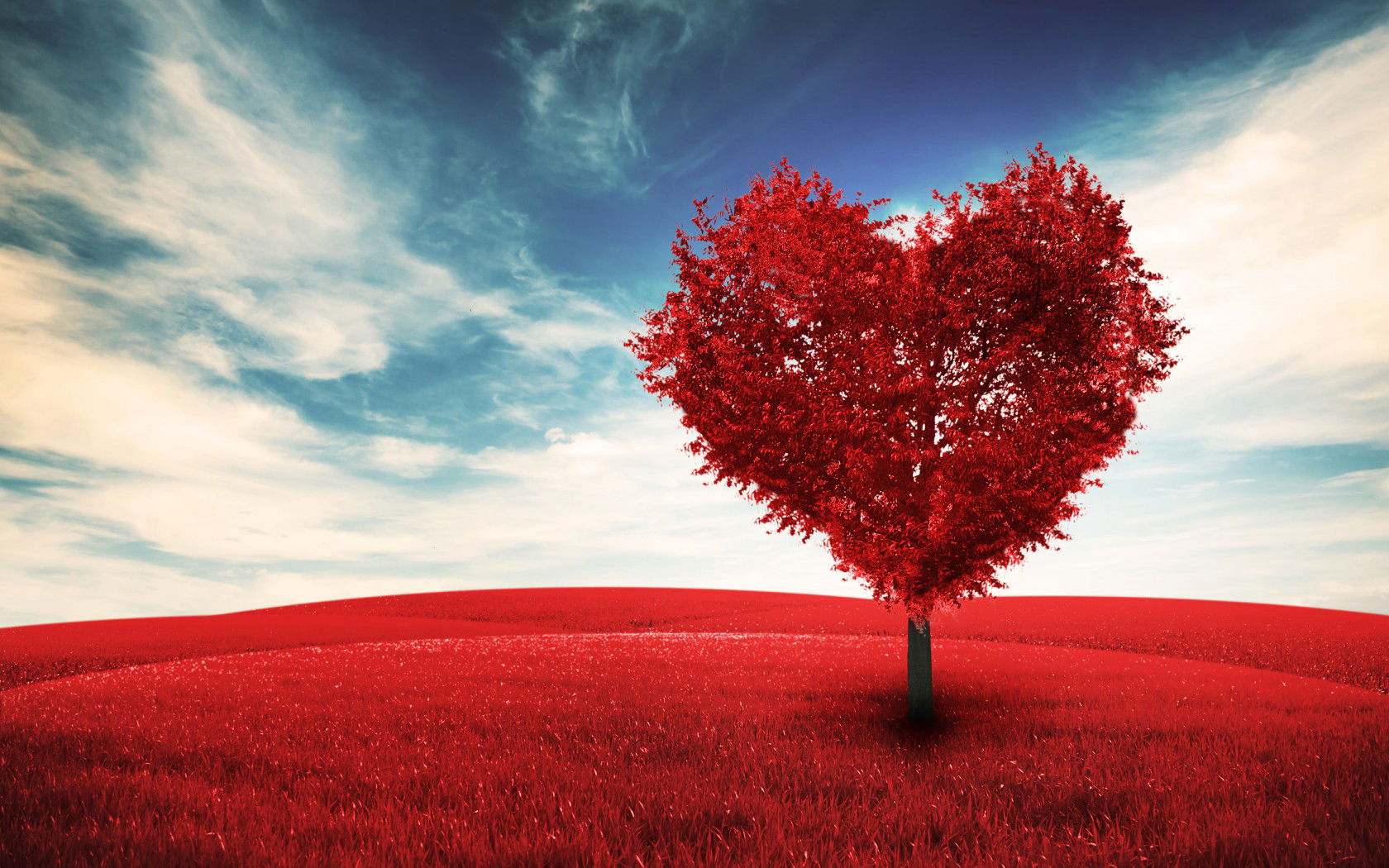 unconditional love