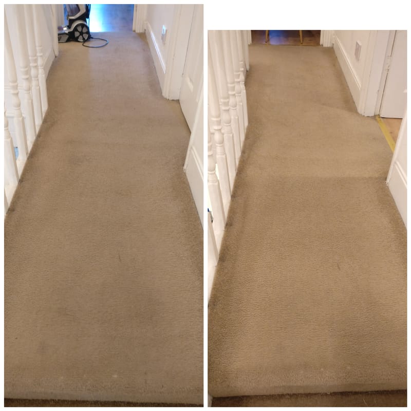 Commercial Cleaning Newcastle Upon Tyne Carpet Cleaning Newcastle Up