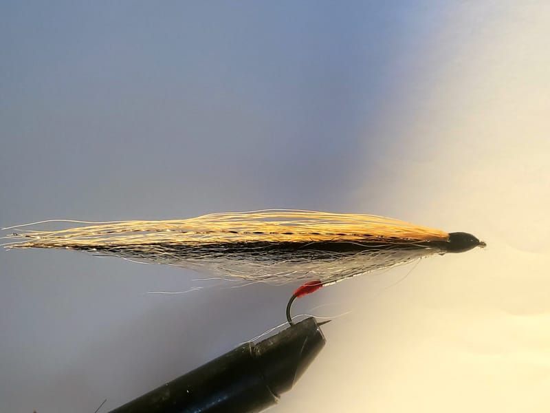blacknose dace fly pattern