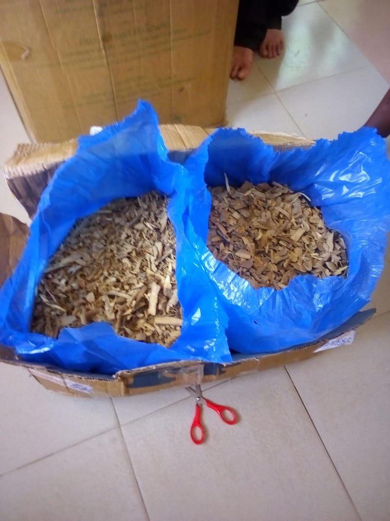 Strophanthus gratus Seeds 250gram Bulk African Trade