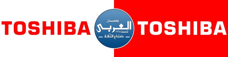 عن الشركة