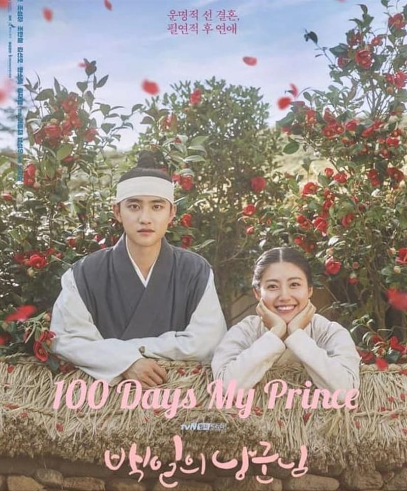 100 days my prince viki