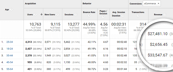 remarketing best practices look demographics report