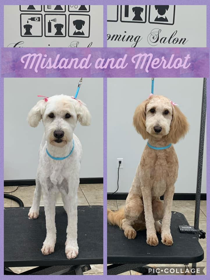 Vanity Fur Pet Spa & Grooming, LLC