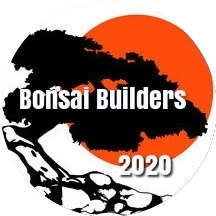Bonsai Builders Group