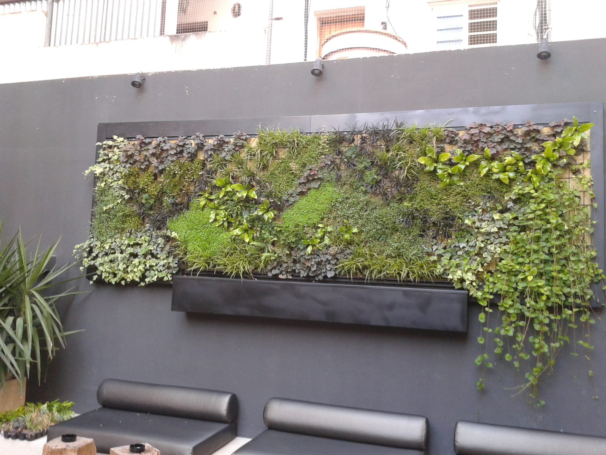 Panorámica del Jardín Vertical Restaurante Ibiza