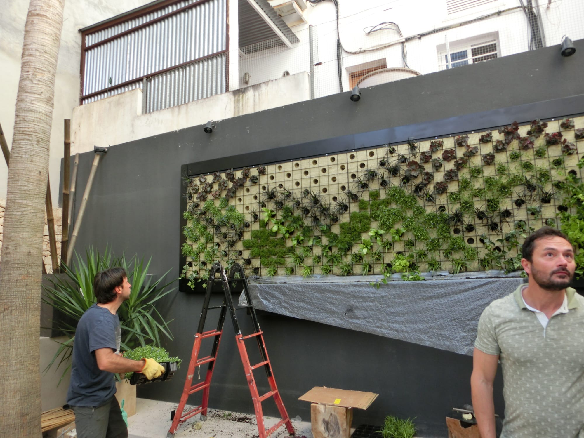 Instalación del Jardín Vertical Restaurante Ibiza