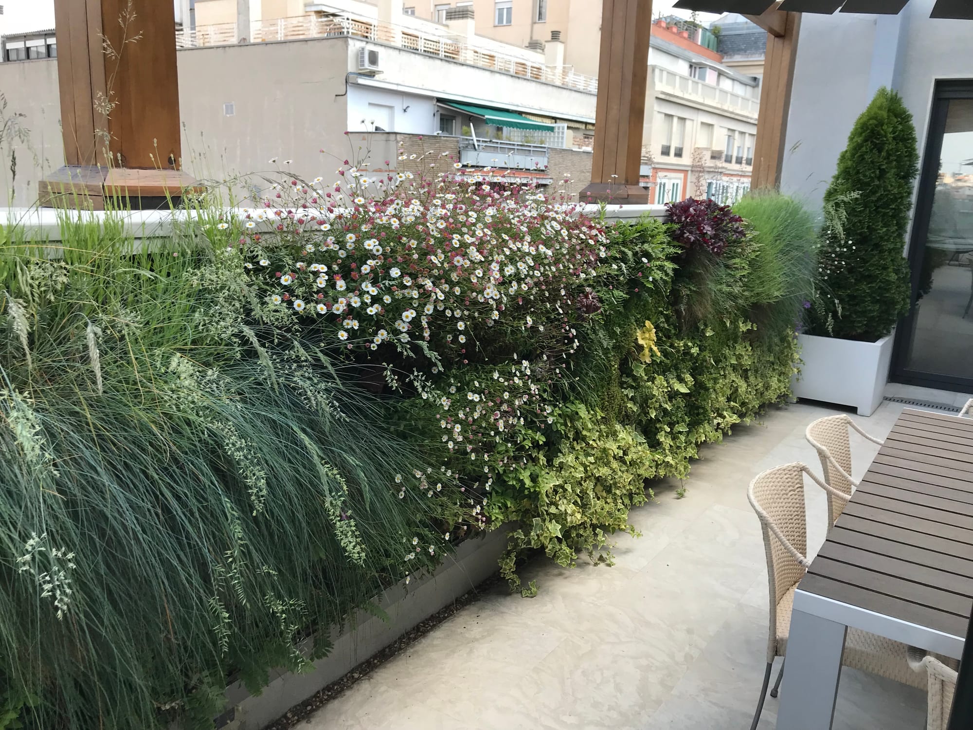 Panorámica Jardín Vertical Terraza, Casado del Alisal, Madrid