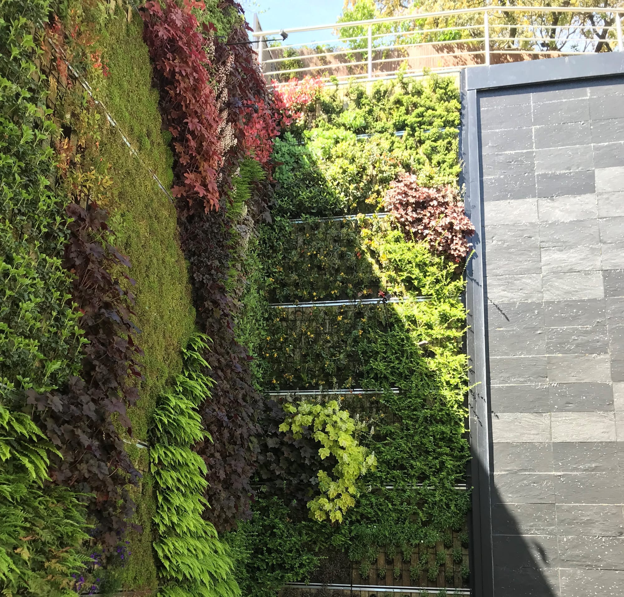 Detalle esquina Jardín Vertical Vivienda Unifamiliar, La Moraleja