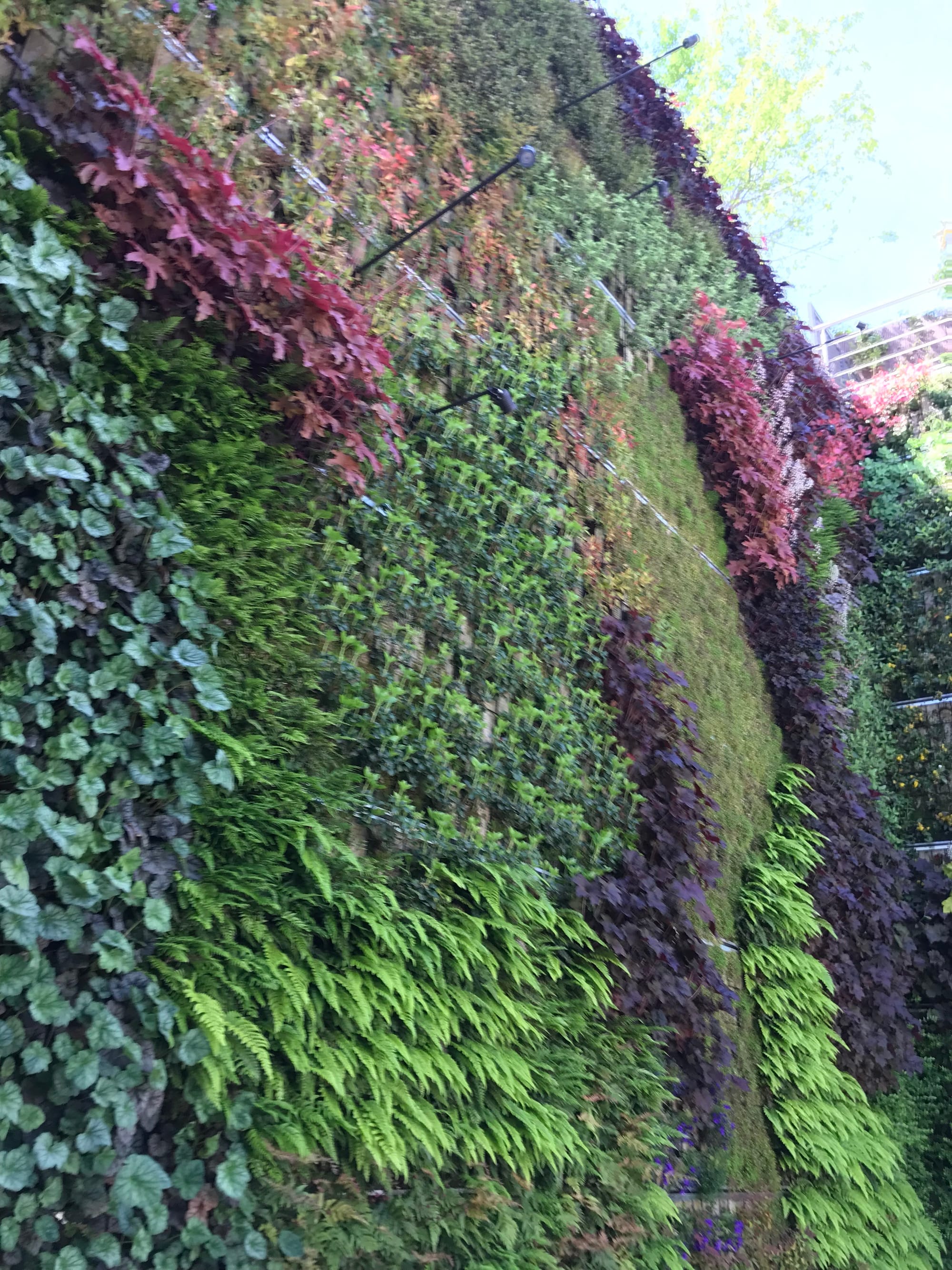 Detalle del Jardín Vertical Vivienda Unifamiliar, La Moraleja