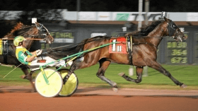 Crazy wow - Mediahorsesrace.com