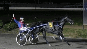Gruccione jet - Mediahorsesrace.com