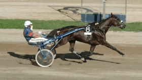 Gambling bi - Mediahorsesrace.com