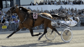 Exploit caf - Mediahorsesrace.com