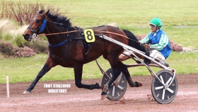 Every time bourbon - Mediahorsesrace.com