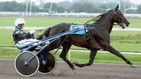 Echo' dei veltri - Mediahorsesrace.com