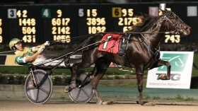 Crazed - Mediahorsesrace.com