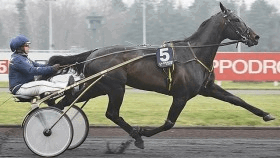 Iper roc - Mediahorsesrace.com