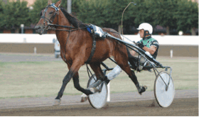 Ismos fp - Mediahorsesrace.com