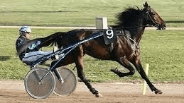Langdon grif - Mediahorsesrace.com