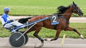 Iulius del ronco - Mediahorsesrace.com