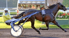 Leben rl - Mediahorsesrace.com