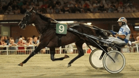 Lester - Mediahorsesrace.com
