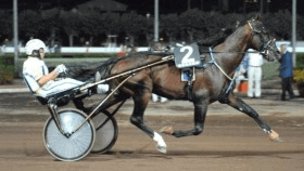 Mack grace sm - Mediahorsesrace.com
