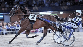 Looney Tunes - Mediahorsesrace.com