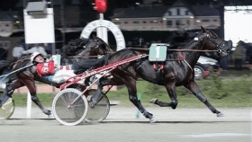 Mago d'amore - Mediahorsesrace.com